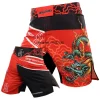 MMA Shorts 2