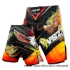 MMA Shorts 2