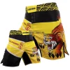 MMA Shorts 1