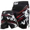 MMA Shorts 1