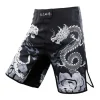 MMA Shorts 4