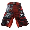 MMA Shorts 2